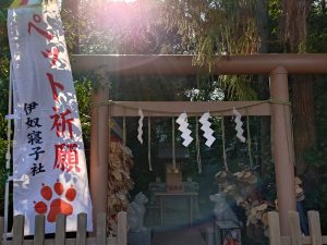 ペットご祈祷　動物対話士　アニマルコミュニケーター