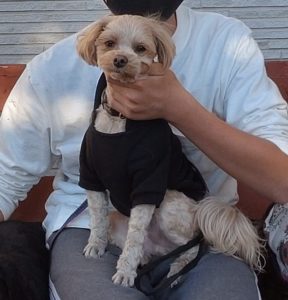 アニマルコミュニケーション 動物対話士 加藤あや セッション ご相談 ペットの気持ち 神奈川県 全国 ビデオ通話セッション可能